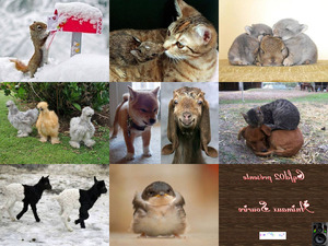 klicke hier, um die Datei herunterzuladen Schmunzelnde Tiere