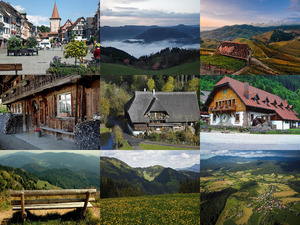 klicke hier, um die Datei herunterzuladen the Black Forest - der Schwarzwald