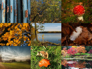 klicke hier, um die Datei herunterzuladen Herbst 11