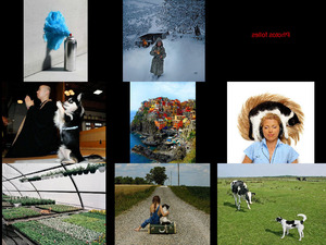 klicke hier, um die Datei herunterzuladen Photos dingues
