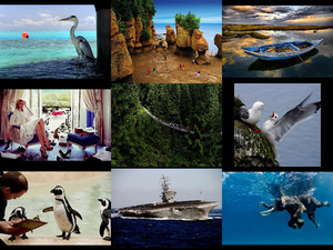 klicke hier, um die Datei herunterzuladen picture mixture