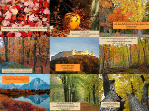 klicke hier, um die Datei herunterzuladen Herbst mit schönen Sprüchen