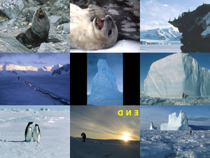 klicke hier, um die Datei herunterzuladen save antarctica