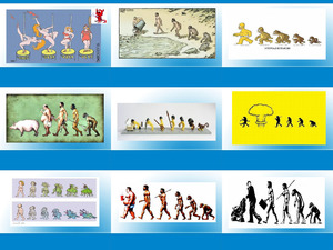 klicke hier, um die Datei herunterzuladen Bilder zur Evolution