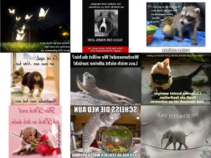klicke hier, um die Datei herunterzuladen Tiere melden sich 18