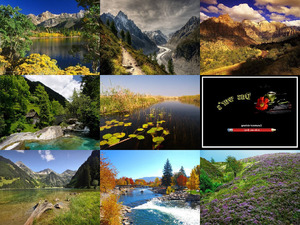 klicke hier, um die Datei herunterzuladen Natur pur - Nr 16