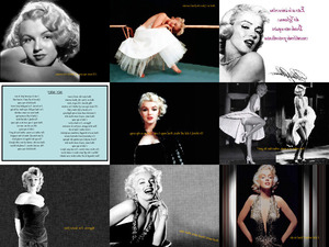 schne Bilder von Marilyn Monroe