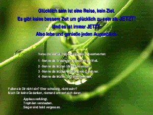 klicke hier, um die Datei herunterzuladen GluecklichseinisteineReise