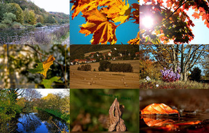 Herbst 6 - Fabelhafte Bilder zum Herbst