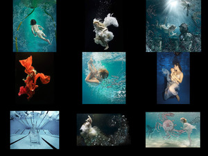 Tolle Unterwasserfotos 