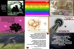 . auf www.funpot.net
