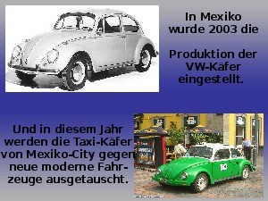 19 VW-Kaefer