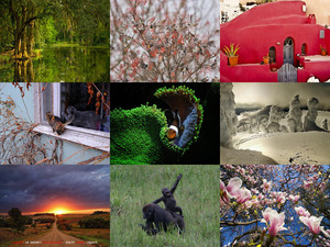 klicke hier, um die Datei herunterzuladen Amazing-Images