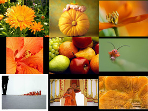 klicke hier, um die Datei herunterzuladen Orange 17