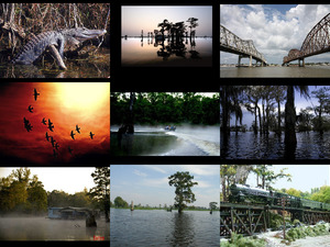 klicke hier, um die Datei herunterzuladen Atchafalaya River