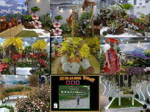 klicke hier, um die Datei herunterzuladen Blumenausstellung Taipei Nov 2010