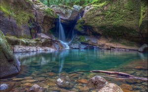 Zauber der Natur - ein weiterer Teil