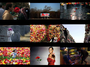 klicke hier, um die Datei herunterzuladen Blumen zu verschiedenen Anlässen