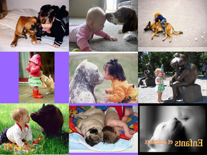 klicke hier, um die Datei herunterzuladen Enfants animaux