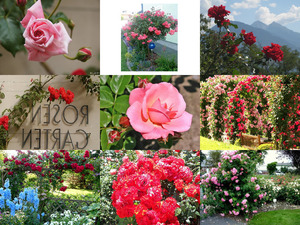 klicke hier, um die Datei herunterzuladen Rosengarten