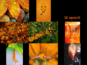 klicke hier, um die Datei herunterzuladen Orange