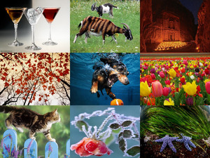 klicke hier, um die Datei herunterzuladen beautiful pictures mix