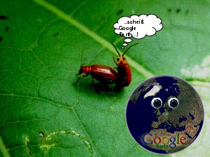klicke hier, um die Datei herunterzuladen google