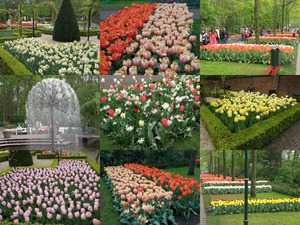 Keukenhof EB 24 4 2014