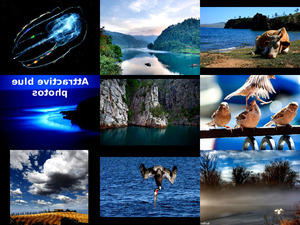 klicke hier, um die Datei herunterzuladen attractive blue photos