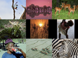 klicke hier, um die Datei herunterzuladen Botswana