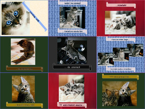 klicke hier, um die Datei herunterzuladen die suessen kleinen Cats