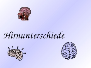 Hirnunterschiede