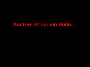 klicke hier, um die Datei herunterzuladen Auch er ist nur ein Rüde