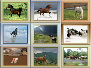 klicke hier, um die Datei herunterzuladen Bellos Caballos