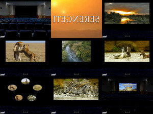 klicke hier, um die Datei herunterzuladen Cinema3 zeigt heute den Film SERENGETI
