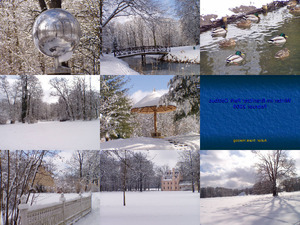 Winter im Branitzer Park Cottbus