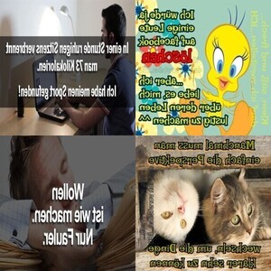 . auf www.funpot.net