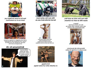klicke hier, um die Datei herunterzuladen Knittelverse Nr 25
