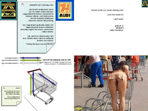 klicke hier, um die Datei herunterzuladen 242149 einkaufswagenumruesten