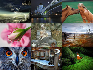 klicke hier, um die Datei herunterzuladen Picture Mix 1