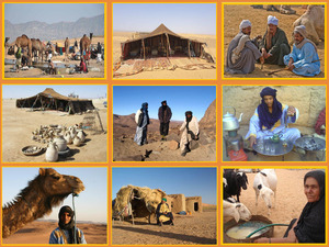 Die Sahara Wuestenbewohner