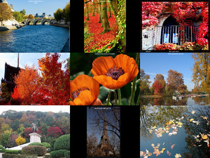 Herbstbilder aus der ganzen Welt