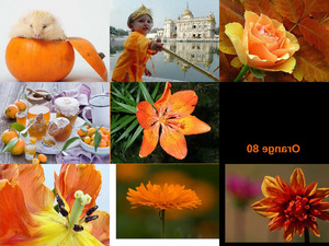 klicke hier, um die Datei herunterzuladen Orange 80