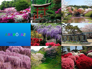 Japan im Frhling