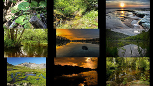 klicke hier, um die Datei herunterzuladen Beautiful Nature 107
