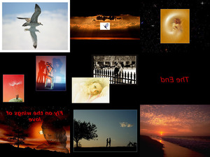 klicke hier, um die Datei herunterzuladen Fly on the wings of love