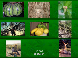 klicke hier, um die Datei herunterzuladen naturelle