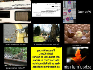klicke hier, um die Datei herunterzuladen nur Bilder11