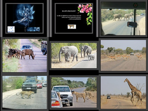 klicke hier, um die Datei herunterzuladen Autostrada in Africa Mi