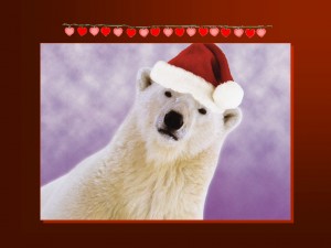 funny christmas cards